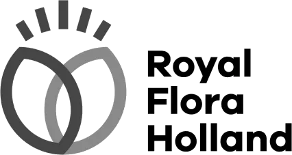 rfh